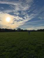 Hundeauslaufgebiet-Wiesengrund Zirndorf-Bild