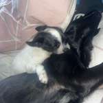 Ersteller:in Sarah Profilbild