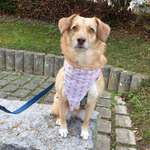 Ersteller:in Chri Profilbild