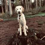 Ersteller:in Celina Profilbild