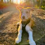 Ersteller:in Jörg Profilbild