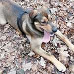 Ersteller:in Mailo Profilbild