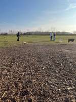 Hundeauslaufgebiet-Osterrönfeld-Bild