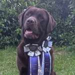 Ersteller:in Lani Profilbild