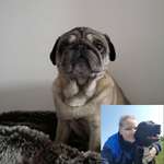 Ersteller:in Celine Profilbild