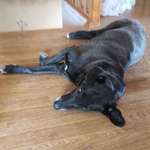 Ersteller:in Denise Profilbild