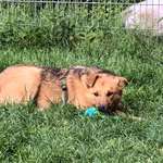 Ersteller:in Fyona Profilbild