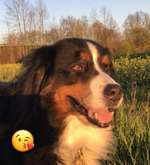 Oma ist inkontinent-Beitrag-Bild