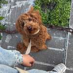 Ersteller:in Hannah Profilbild