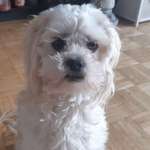 Ersteller:in Penny Profilbild