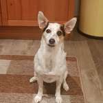 Ersteller:in Camella Profilbild