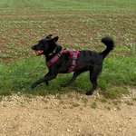 Ersteller:in Sandra Profilbild