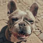 Ersteller:in Laura Profilbild