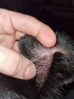 Kleiner Abzess?-Beitrag-Bild