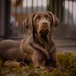 Ersteller:in Kim Profilbild