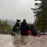 Ersteller:in Anna Profilbild