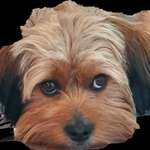 Ersteller:in Mandy Profilbild