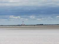 Hundeauslaufgebiet-Hundestrand Sankt-Peter Ording-Bild