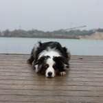 Ersteller:in luna Profilbild