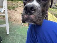 Ausschlag?-Beitrag-Bild