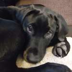 Ersteller:in Julian Profilbild