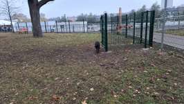 Hundeauslaufgebiet-Hundeplatz Oranienburg-Bild