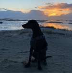 Ersteller:in Anja Profilbild