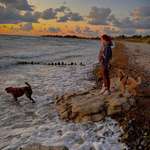 Ersteller:in Laura Profilbild