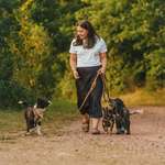 Ersteller:in Angelina Profilbild