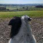 Ersteller:in Susanna Profilbild