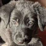 Ersteller:in Nadine Profilbild