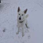 Ersteller:in Stephanie Profilbild