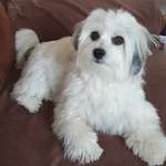 Ersteller:in Kerstin Profilbild