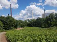 Hundeauslaufgebiet-Essenberger Halde (alte Mülldeponie)-Bild