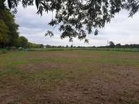 Hundeauslaufgebiet-Bauerfeld-Bild