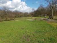 Hundeauslaufgebiet-Brücktorstraße-Bild