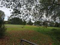 Hundeauslaufgebiet-Arminstraße-Bild