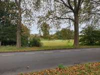 Hundeauslaufgebiet-Arminstraße-Bild