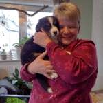 Ersteller:in Mariom Profilbild