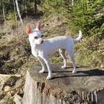 Ersteller:in Cati Profilbild