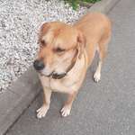 Ersteller:in Elana Profilbild