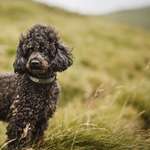 Ersteller:in Barbara Profilbild