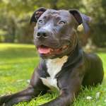 Ersteller:in Christina Profilbild