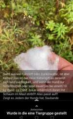 Giftköder!!!!!!!!-Beitrag-Bild