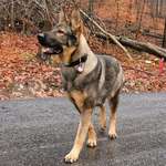 Ersteller:in Fabio Profilbild