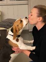 Spielfreund & gegenseitige Urlaubsbetreuung gesucht!-Beitrag-Bild