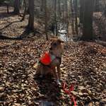 Ersteller:in Kati Profilbild