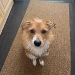 Ersteller:in Kati Profilbild