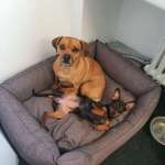 Ersteller:in Julia Profilbild