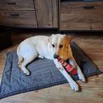 Ersteller:in Corinna Profilbild